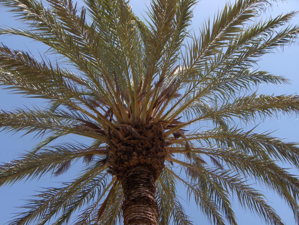 Hotel Le Jardin Des Epices Taroudant Exterior foto