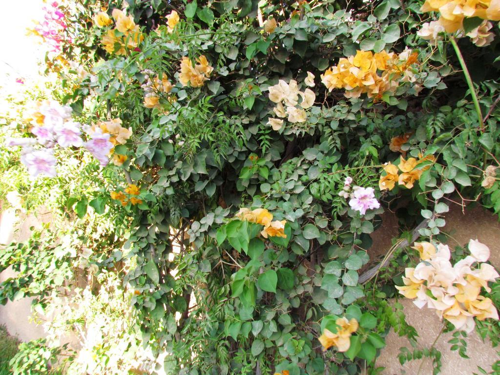 Hotel Le Jardin Des Epices Taroudant Exterior foto